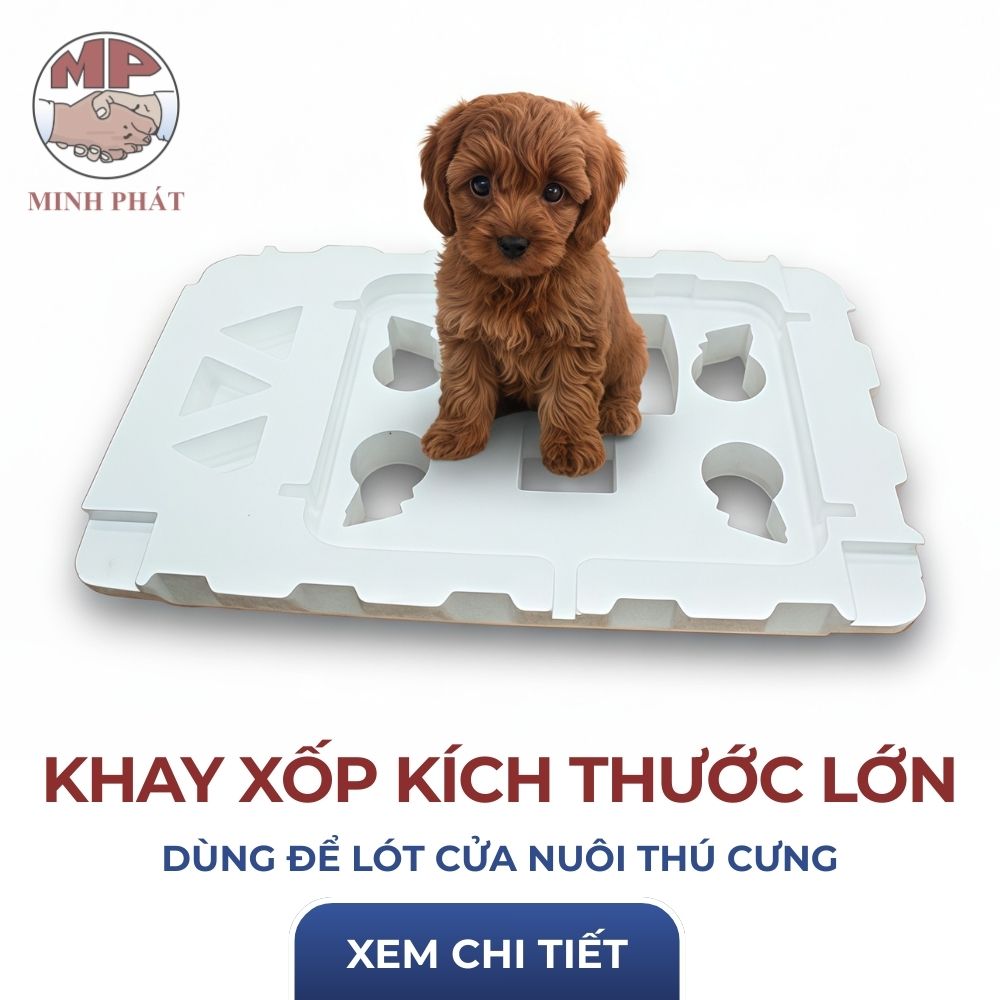 Khay Xốp Kích Thước Lớn